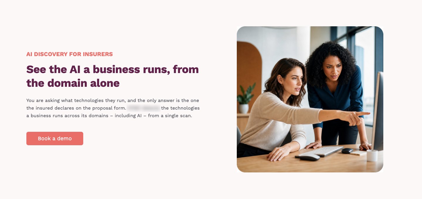 Launch landing page: See the AI a business runs, from the domain alone