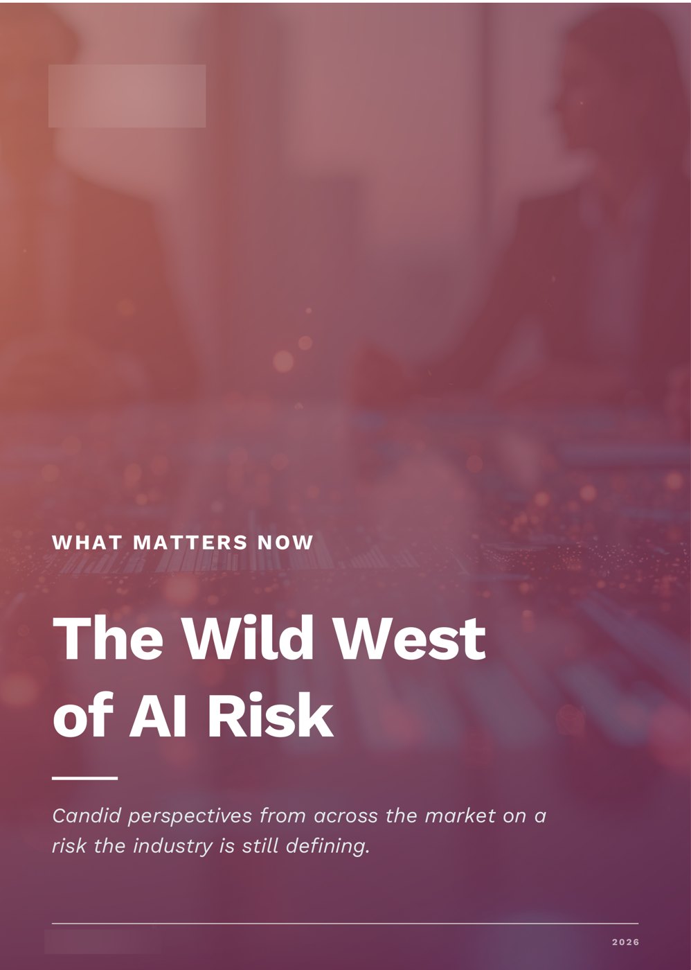 Cover of the research white paper: The Wild West of AI Risk